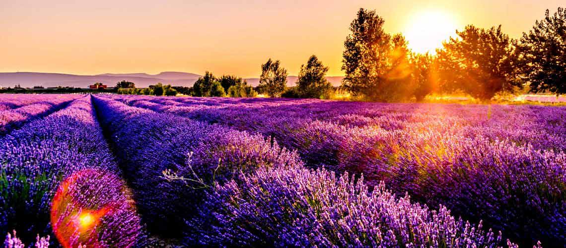 Sommerjobs in Frankreich Sommerjobs in Frankreich