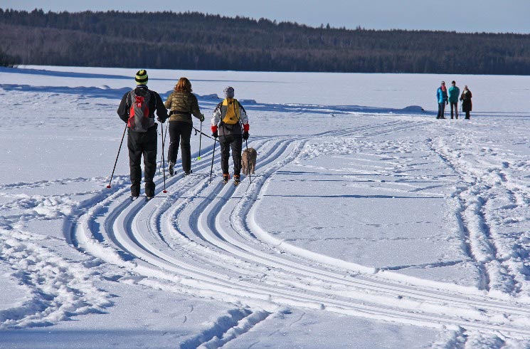 Ski fahren in Schweden
