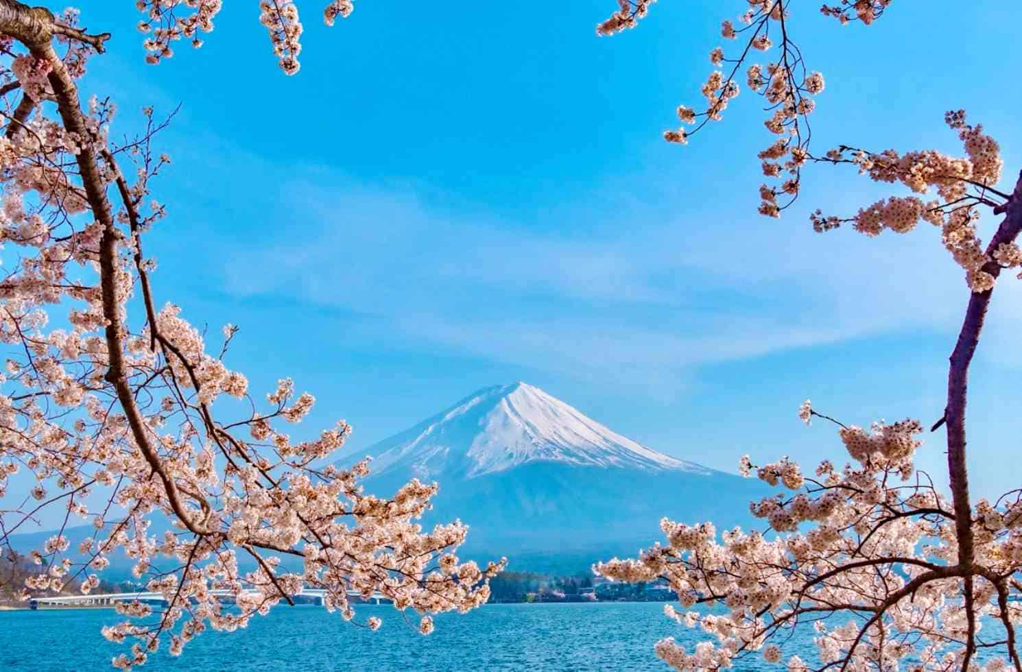 Work & Travel Japan Programm Work & Travel Japan Programm
